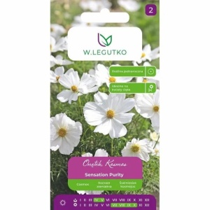 Plic seminte flori Mărarite Cosmos soi Sensation Purity.