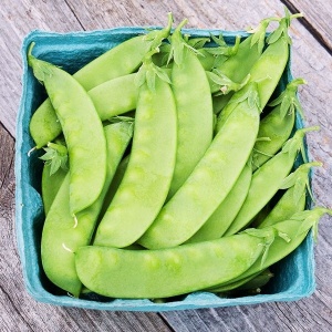 Mazare Oregon Sugar Pod (50 g) seminte mazare dulce de gradina, pastai dulci, comestibile, Kertimag