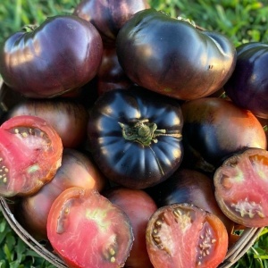 Rosii Black Beauty (0.2 g) seminte tomate negre carnoase tip Inima de Bou, miez rosu dulce, seminte putine, Legutko - Img 3