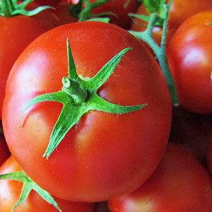 Rosii Saint Pierre (0,7 g), seminte soi semitimpuriu nedeterminat, tomate rotunde, ferme, Prima Sementi - Img 1
