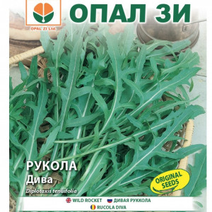 Rucola salbatica (1 g) seminte planta timpurie, frunze carnoase, aroma specifica, Opal