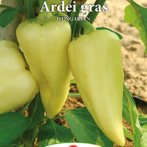 Ardei gras Hungarian (0,7 g), seminte soi rezistent la boli, galben deschis, Prima Sementi - Img 2