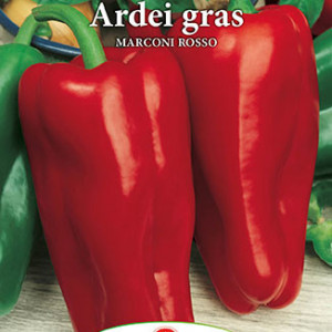 Ardei gras lung Marconi Rosso (0,7 g), seminte ardei soi semitimpuriu, fructe suculente, gust dulce foarte placut, Prima Sementi - Img 3
