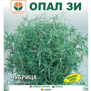 Cimbru (1 g) seminte cimbru de gradina aromat, Opal