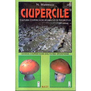 Cultura ciupercilor agaricus si pleurotus, MAST