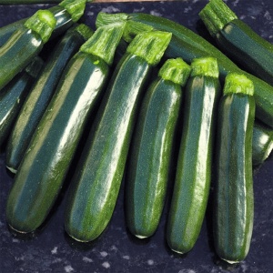 Dovlecei Black Beauty (3 g) seminte soi italian zucchini verde inchis, crocant, Prima Sementi