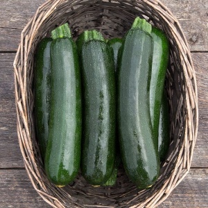 Dovlecei President F1 (3,5 g) seminte hibrid de dovlecel zucchini timpuriu verde inchis, productivitate mare, Prima Sementi - Img 2