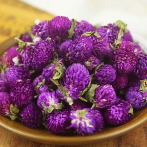 Gomfrena violet (0,25 g) seminte planta ornamentala anuala Gomphrena globosa, flori globulare purpurii pentru uscat, Kertimag - Img 4
