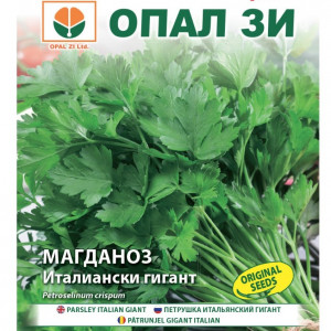 Patrunjel Gigant Italian (5 g) seminte patrunjel soi timpuriu foarte productiv, frunze foarte mari, aroma puternica, Opal