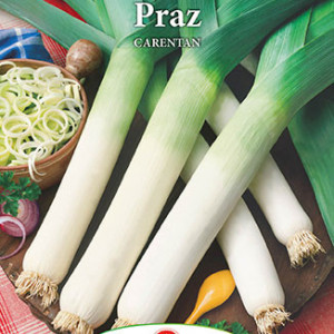 Praz Carentan (2 g), seminte soi semitardiv, praz gust placut, productiv, Prima Sementi - Img 2
