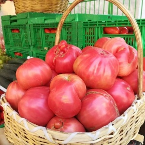 Rosii Belmonte F1 (0,3 g) seminte tomate foarte mari, roz inchis, hibrid italian de tip Beef gigant, gust autentic dulce, Prima Sementi - Img 2