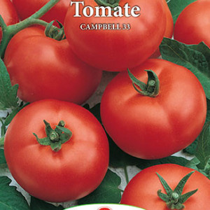 Rosii Campbell 33 (0,7 g) seminte soi determinat, tomate mari, pentru salate si conserve, Prima Sementi - Img 3
