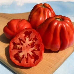 Rosii Canestrino (0,3 g) seminte soi nedeterminat traditional italian, tomate mari, costate, aroma intensa, Prima Sementi