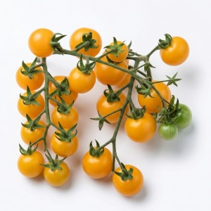 Rosii cherry Cereza Amarilla (0,2 g) seminte tomate cherry galbene, ciorchini lungi, gust foarte dulce, Legutko