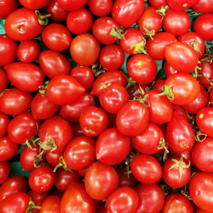 Rosii cherry Principe Borghese (2 g), seminte soi italian semideterminat, tomate cherry gust deosebit, Raci Sementi