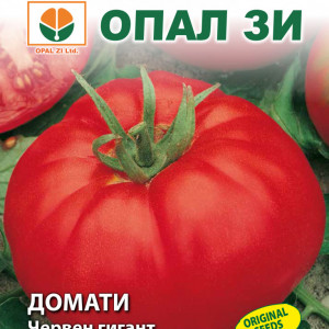 Rosii Gigant Rosu Bulgaresc (0,2 g), seminte tomate gigant foarte gustoase, semitimpurii, crestere nedeterminata, Opal