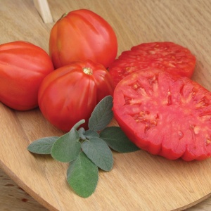 Rosii Inimă de Albenga (1 g), seminte tomate carnoase, gustoase, soi semitimpuriu, crestere nedeterminata, Opal - Img 2