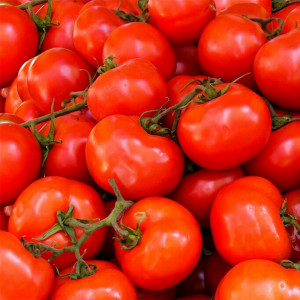 Rosii Lugas F1 (20 seminte), seminte hibrid nedeterminat, tomate tari, calitate superioara, Kertimag