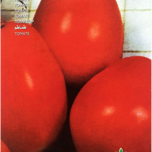 Rosii Missouri (3 g), seminte soi tip prunisoara, tomate bune pentru sosuri, bulion, Raci Sementi - Img 2