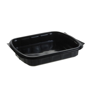 Caserole meniu 1 compartiment , PP, negru + Capac PP inalt, transparent FT296 H40 , 236×205 mm, 50 buc/set