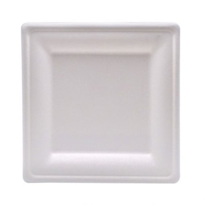 Farfurii patrate Bio 20 cm ,trestie de zahar, alb, 50 buc - Img 2