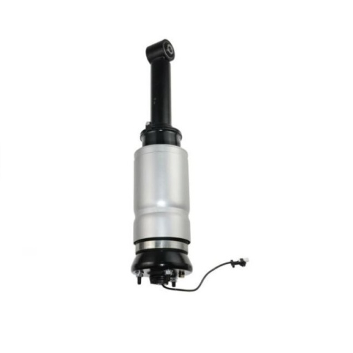 Amortizor cu perna fata RANGE ROVER SPORT 2010-2013 LR052867 Arnott AH32-18B036-BE
