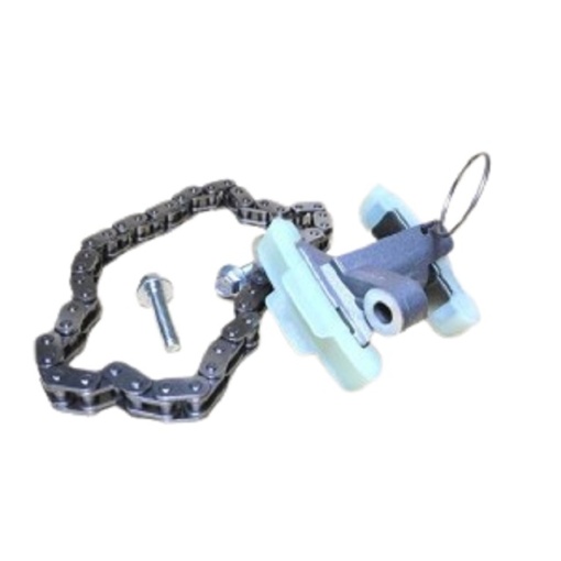 Lant si intinzator ax came Motor 2.7 TDV6; Motor 3.0 TDV6 Gen1 Euro5; Motor 3.0 TDV6 Gen2 Euro6 C2S30215 OE
