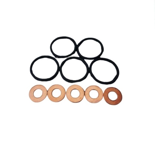 Set o-ring-uri si saibe pentru injectoare DA2479 Britpart