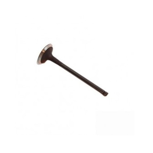 Intake valve LR010699 5.0 Petrol Britpart