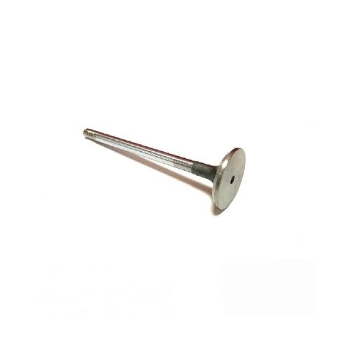 Inlet valve 1311281 Gieffe