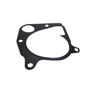 Garnitura pompa apa Motor 2.0 TD4; Motor 3.0 TD6 (BMW M57) 8510300 Elring 4H42-8507-AA