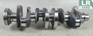 Arbore / Vilbrochen 2.0 DTD COTA B2 (0.50) P1 (0.25) Original arb205