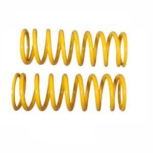 Set arcuri suspensie spate +40mm DISCOVERY 2 1998-2004 DA4197 Britpart DA4198