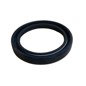 Camshaft seal LZB100271 Britpart