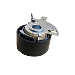 Rola ghidare distributie LR000660 SKF 3M5Q-6M250-AA