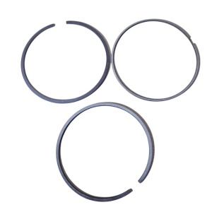 Set segmenti per piston motor Motor 4.4 TDV8 NE