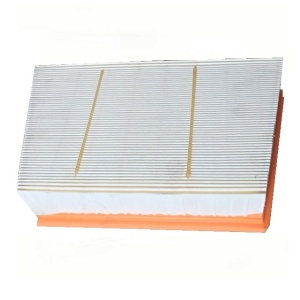 Air filter Motor 2.0 Ingenium DTD; Motor 2.0 Ingenium DTA;; Motor 2.0 Ingenium Benzina LR071942 Mann