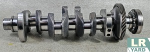 Arbore / Vilbrochen 2.0 DTD COTA B2 (0.50) P1 (0.25) Original arb207