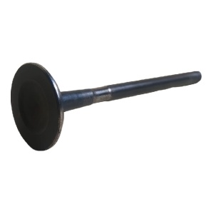 Cylinder head exhaust valve FREELANDER 1996 - 2006 CLASSIC Engine 1.8 Petrol LGH101190L Bearmach