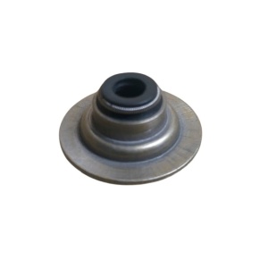Cylinder head valve stem oil seal FREELANDER 1996 - 2006 CLASSIC Engine 2.5 Petrol; Engine 2.0 diesel TD4 LUB100350L Britpart