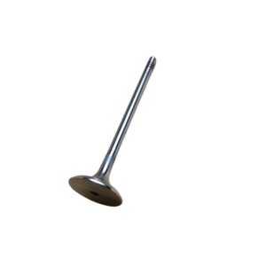 Inlet valve LR073780 Arrow