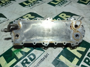 Oil Skimmer 5.0 Petrol / Petrol LR039821 - Img 1