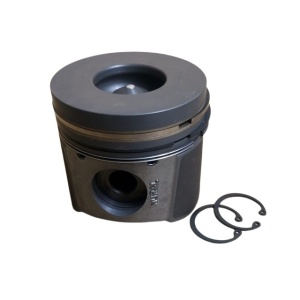 Piston motor Engine 2.5 diesel TD5; DISCOVERY 2 1998 - 2004 CLASSIC DEFENDER 1987 - 2006; LFL500040 Mural
