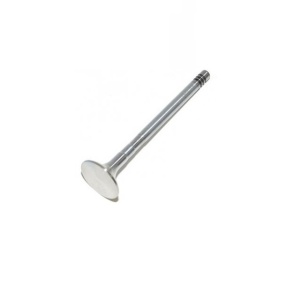 Exhaust valve LR008130 Gieffe