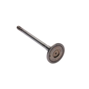 Intake valve LR069031 Land Rover