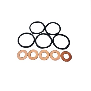 Set o-ring-uri si saibe pentru injectoare DA2479 Britpart