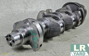 Arbore / Vilbrochen 2.0 DTD COTA B2 (0.50) P1 (0.25) Original - Img 3