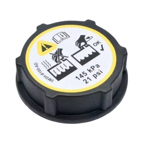 Buson vas expansiune Motor 2.2 TD4/SD4; Motor 2.0 Ingenium 204DTD; Motor 2.0 Ingenium 204DTA; Motor 2.0 Ingenium Benzina LR000243 Febi 3M5H-8100-AD