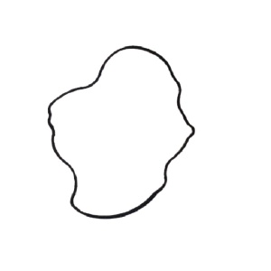 EGR gasket LR023072 Land Rover