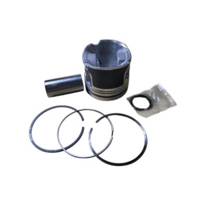 Piston motor 2.0 DTD oversize +050